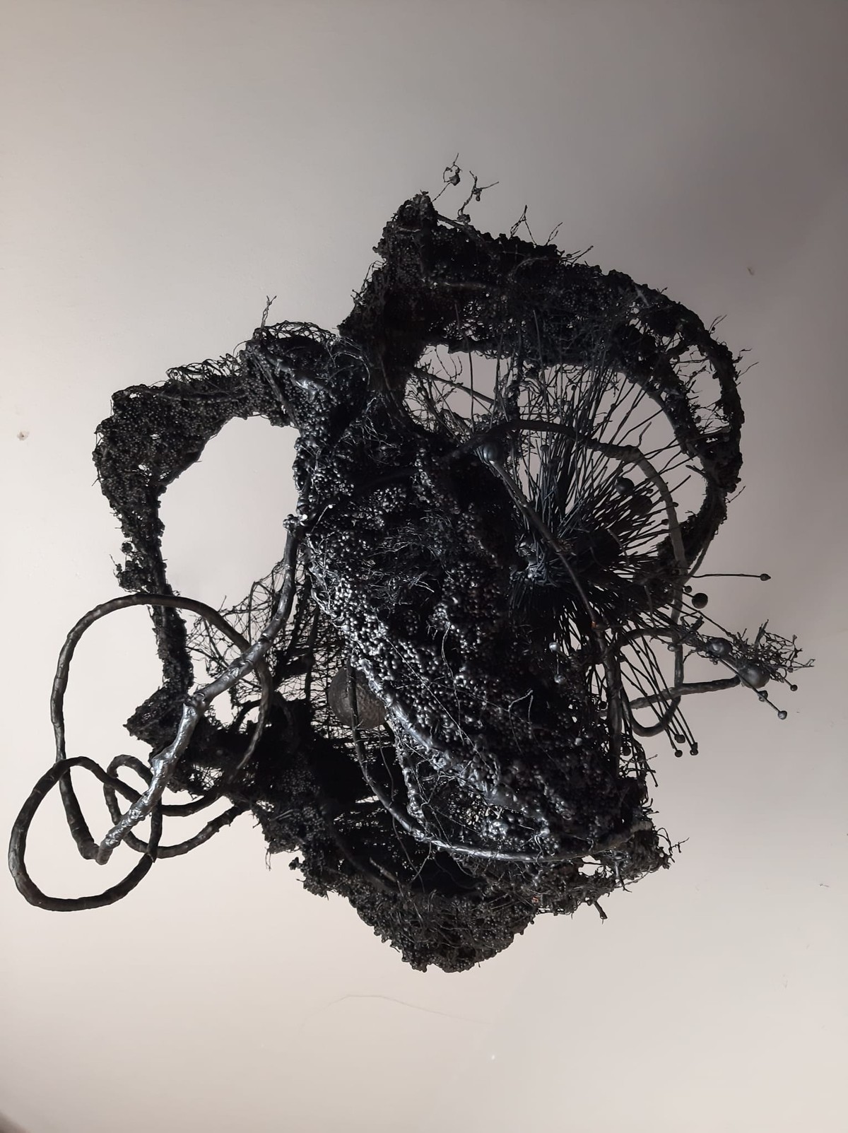 STUDIO 21 Otvara se izložba 'Crno bijelo u boji' Dražena Pejkovića i Tončice Jelače Marijančević Tonke