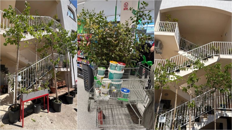 DAJ RUKE! Vikend eko akcija Flore Dalmatice u Raslini i Zatonu