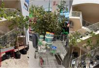 DAJ RUKE! Vikend eko akcija Flore Dalmatice u Raslini i Zatonu