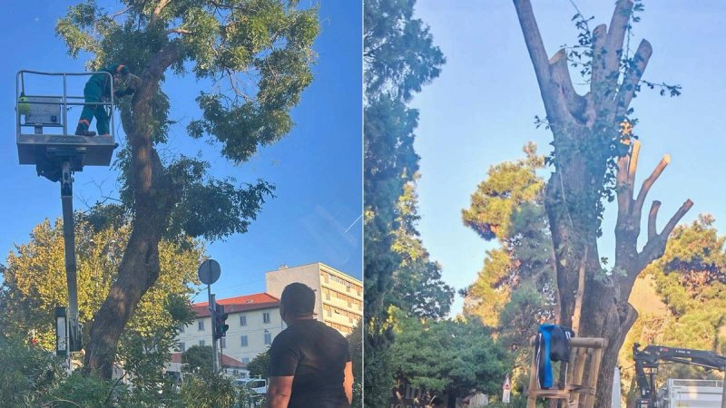 PILANJE U PERIVOJU BAČVICE Sofore su gotovo neprepoznatljive, evo i zašto