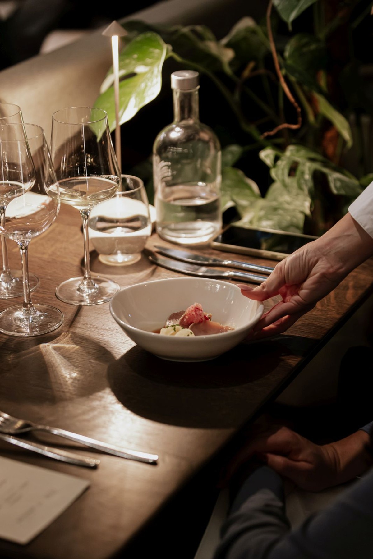 Savršen izlazak u Splitu: vinska večer koja spaja najbolje od vina i gastronomije