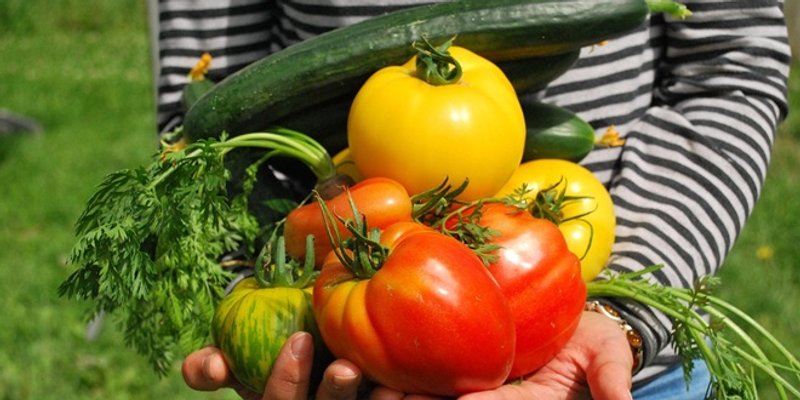 Hrvatska pri dnu EU po ekološkoj proizvodnji svježeg povrća