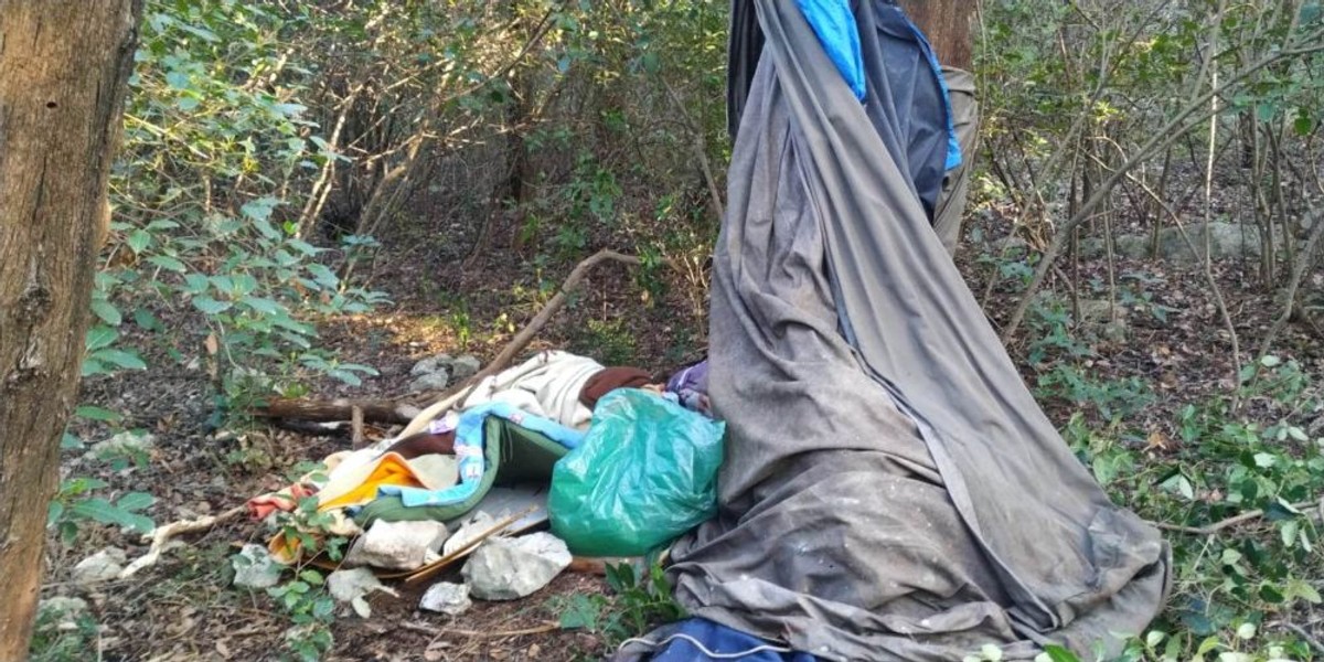 Čišćenje Marjana | foto: Društvo Marjan, JU PŠ Marjan, Dalmatinske šume