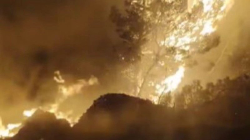 Požar u Podgori gasilo 80 vatrogasaca, i noćas bili na požarištu