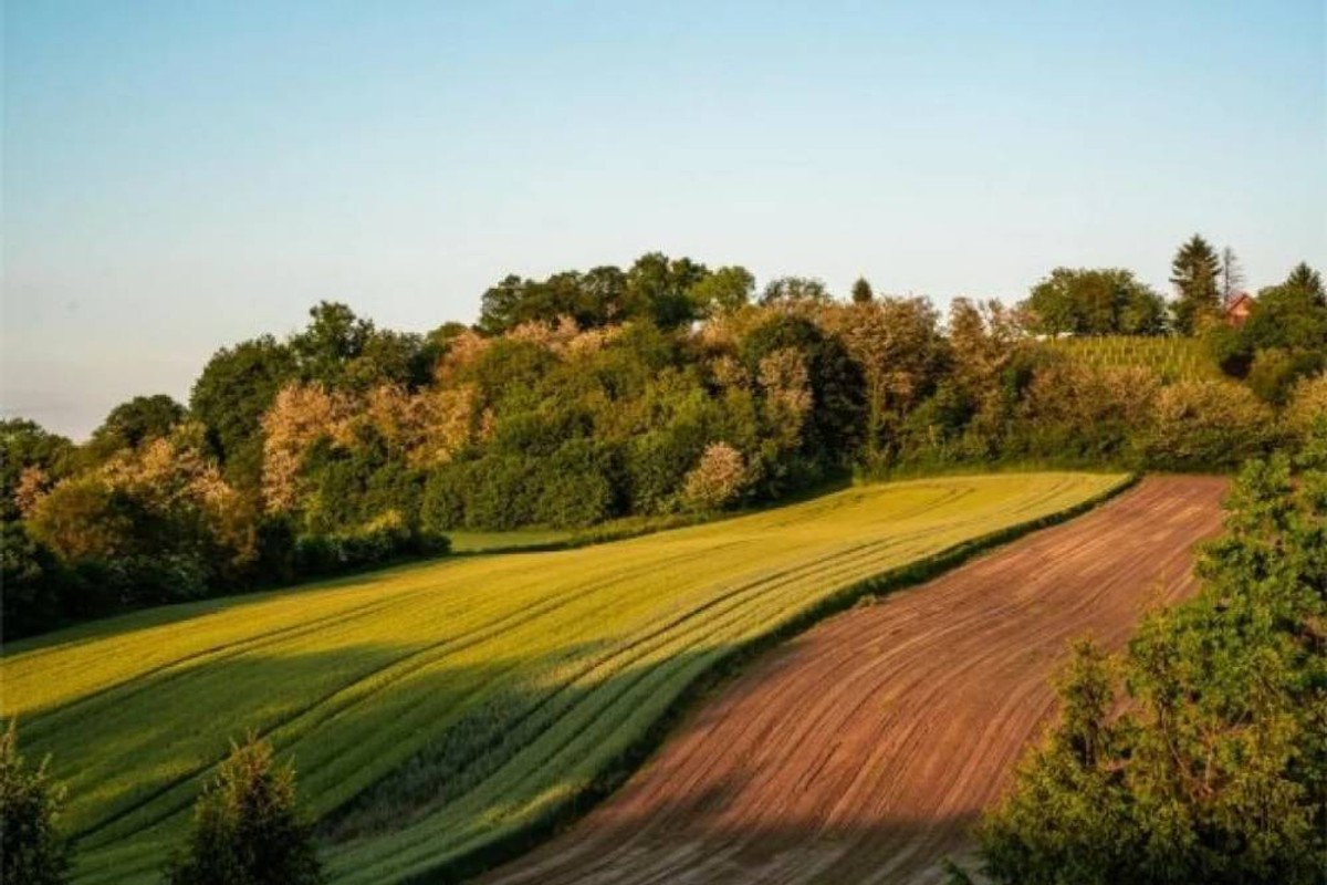 Od šarana na rašljama, meda, sira, vina do šljiva i rakije: Doživljaj više čeka vas ove jeseni