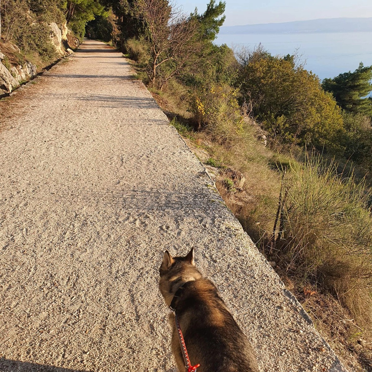 MATIJEVIĆ: Ne slažem se da agrikulturi nije mjesto na Marjanu