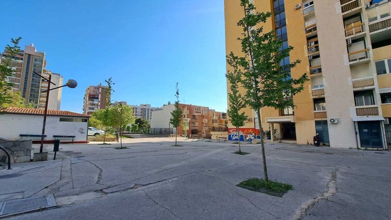 Kraj sivila na Splitu 3: Posađena stabala u Getaldićevoj ulici