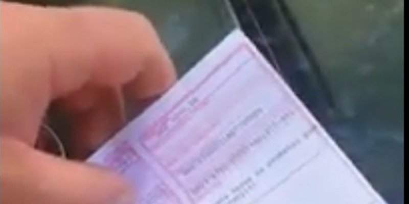 POGLEDAJTE KAKO IMOĆANIN 'PLAĆA' PARKING: 'Ne možeš to nigdi naučit, moraš se rodit takav'