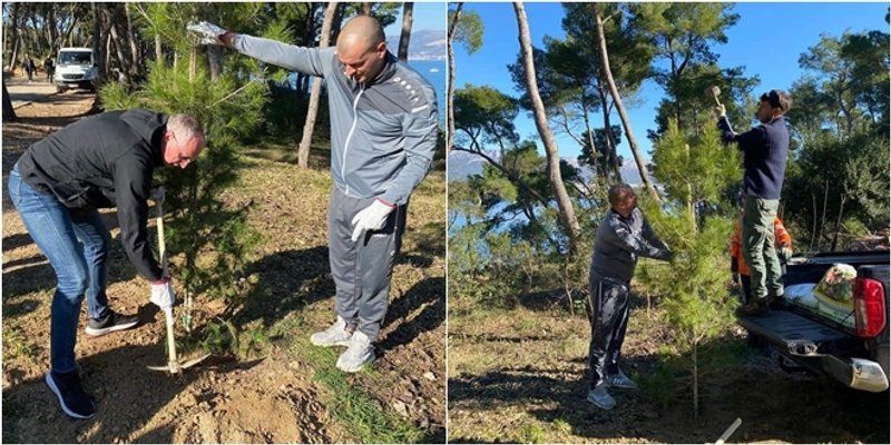 Splićani u čudu, svima se čini da je lani Puljak sadio veća stabla