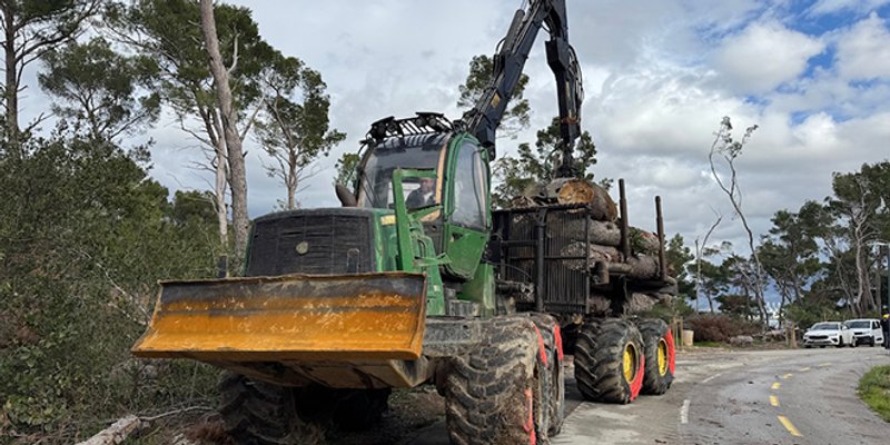 POČELI RADOVI: S Marjana će ukloniti 4000 porušenih stabala, ali ih zbog potkornjaka možda bude i više