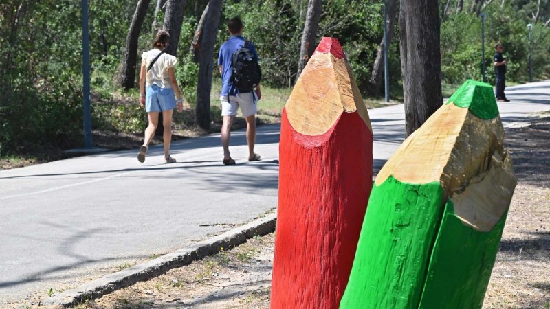 FOTOGALERIJA Od stabala stradalih u vjetrolomu na Marjanu nastale velike šarene bojice koje oduševljavaju prolaznike