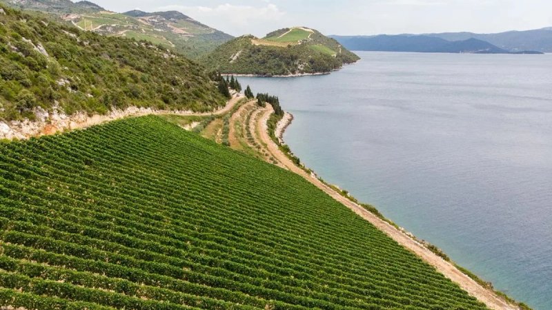 U Primoštenu će se održati tečaj kako primjenjivati dronove u vinogradarstvu