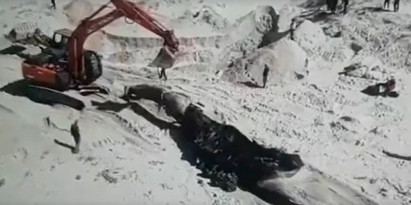 NE ZNAJU ODAKLE JE DOŠLA Izrael je zatvorio cijelu svoju obalu Sredozemnog mora zbog izlijevanja nafte