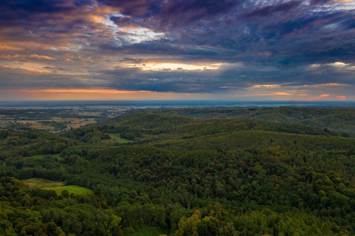 Vino opušta, a priroda smiruje - Doživljaj više čeka vas u Bjelovarsko-bilogorskoj županiji