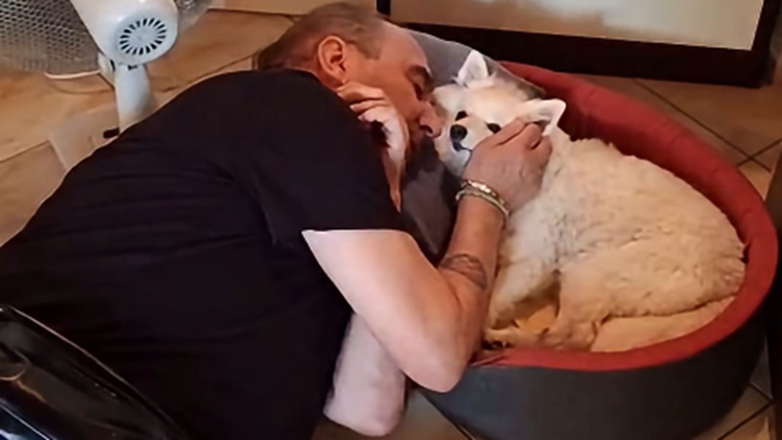 VIDEO Grdović se oprašta od svog psa