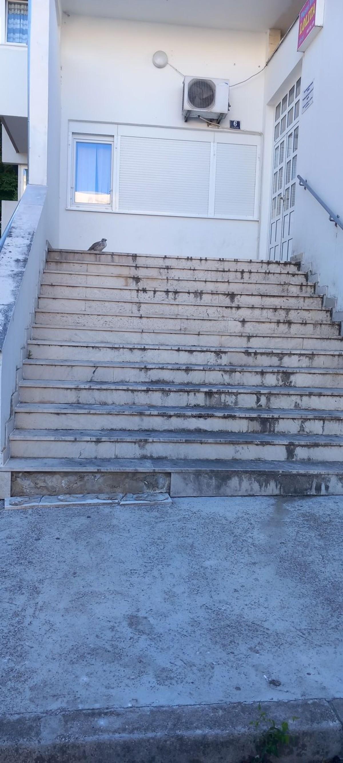 FOTO UBOD Kotarske prostorije na Plokitama u zapuštenom stanju već godinama
