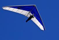 ZMAJ PAO KOD PAKRACA 'Nije uspio uhvatiti željenu visinu, ima puno ozljeda'