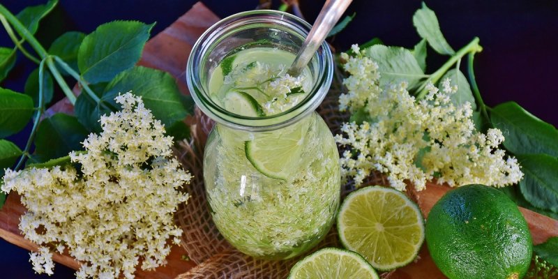 RECEPT Domaći sok od bazge