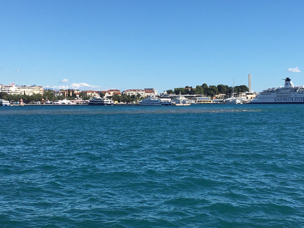 FOTO/VIDEO Mrlja u Trajetknoj luci