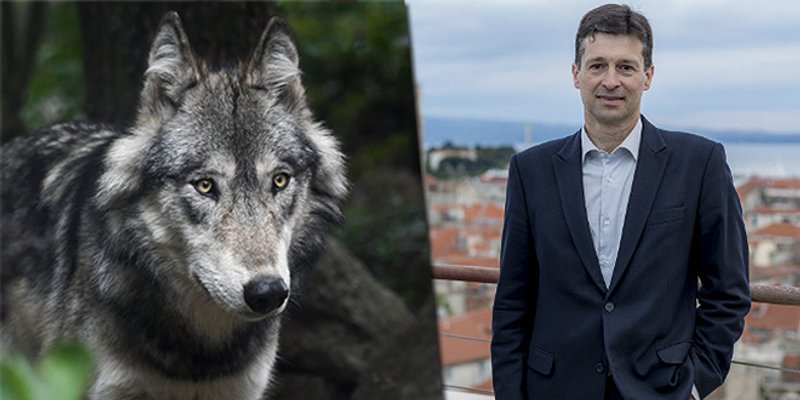 Strašno iskustvo dogradonačelnika Vele