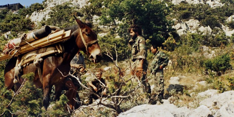 PRIČA O 156. BRIGADI 'Za našu logistiku ništa nije bilo nemoguće, pašticada je stizala na čuke!'