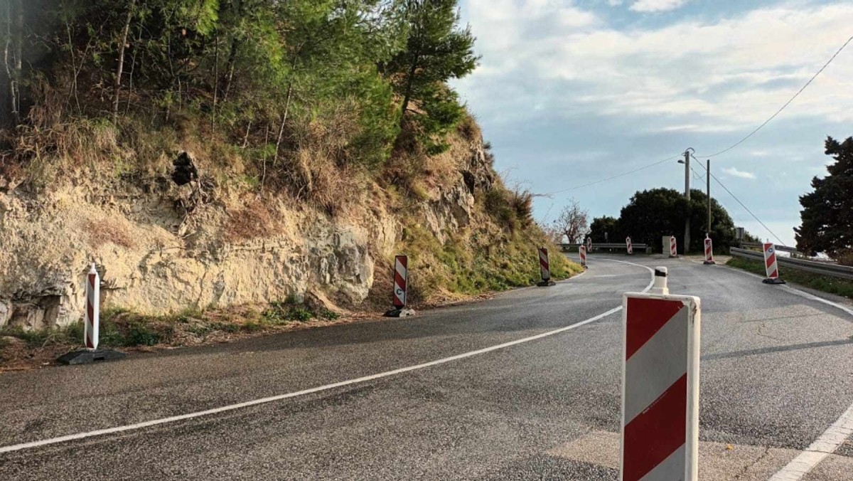 Marjan | Foto: Veljko Martinović