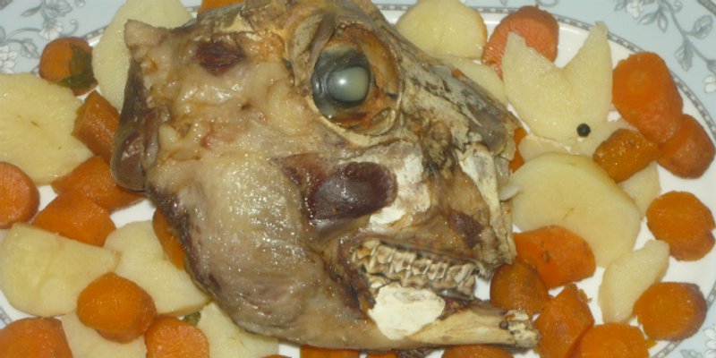 DALMATINSKA KUŽINA Glava ol janca lešo