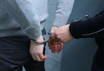 DOLIJAO ZELENAŠ Zbog iznude završio kod pritvorskog nadzornika