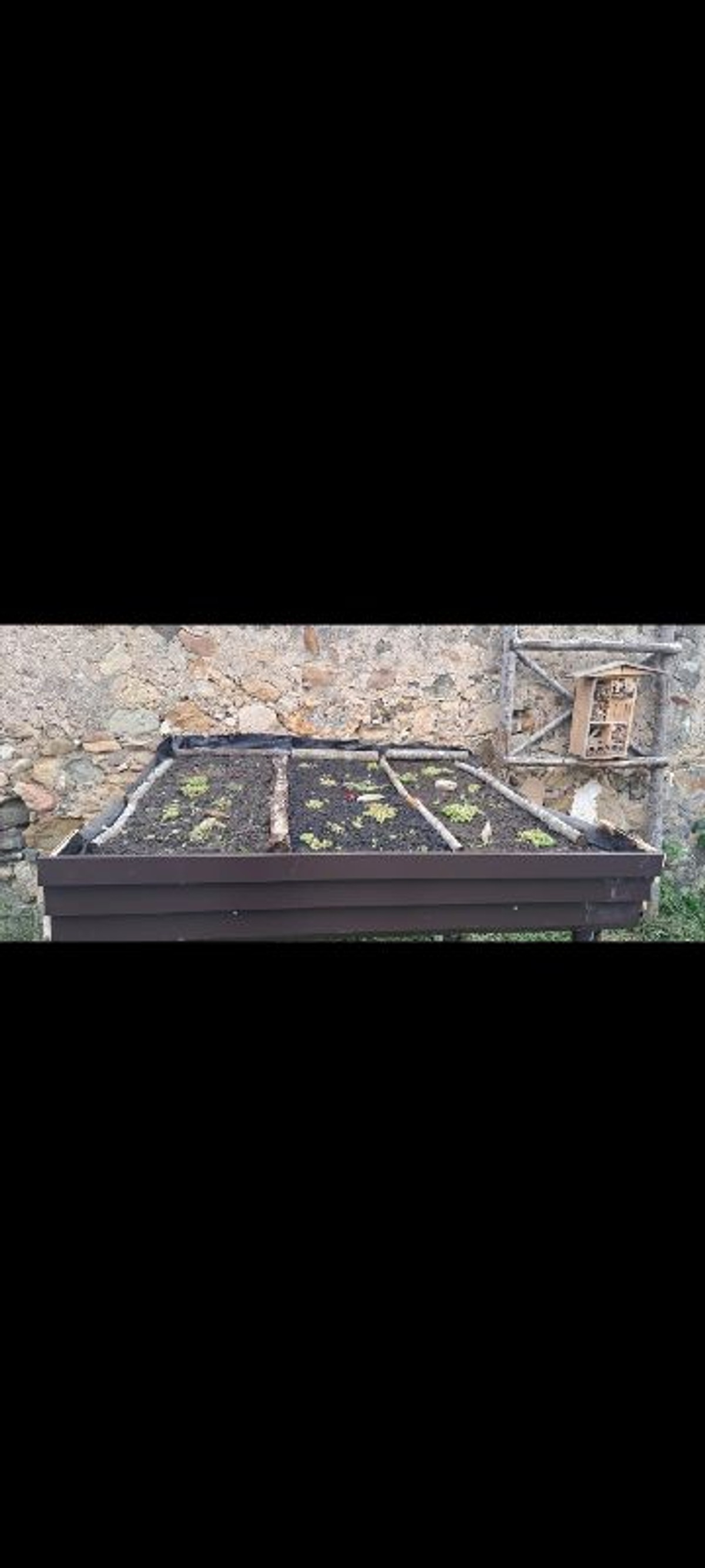 Argonauta na Siciliji: Biougljen i Terra Preta za održivu poljoprivredu