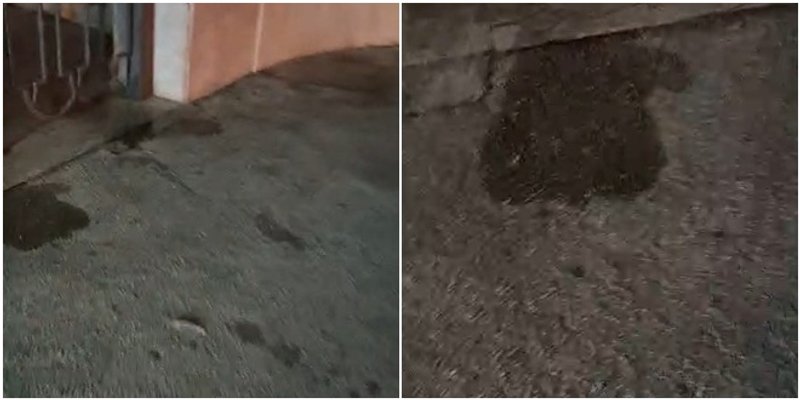 VIDEO 'Pogledajte kako izgleda javni WC zvani Split'