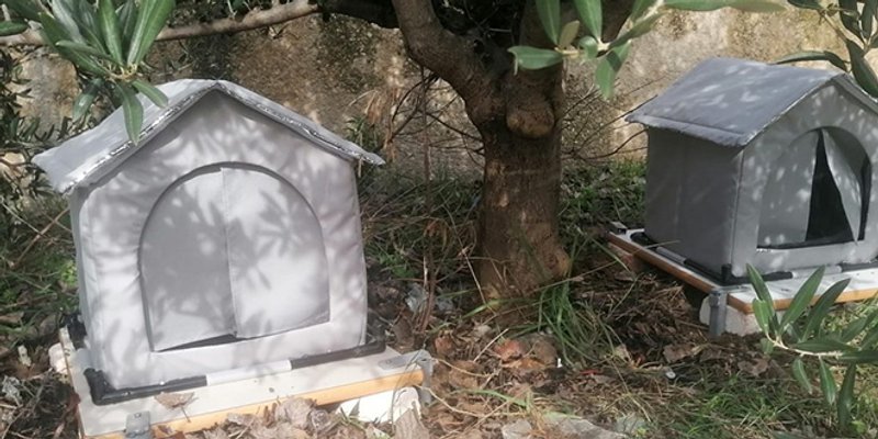 Mala gesta, veliko srce: U splitskoj gimnaziji osigurali topli dom školskim mačkama