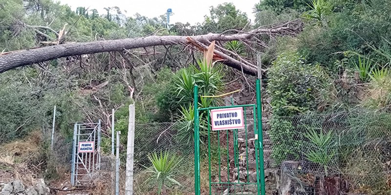 Vlasnici zemljišta na Marjanu: Javna ustanova nema ni šumara, a dijele dozvole bez zakonske osnove!