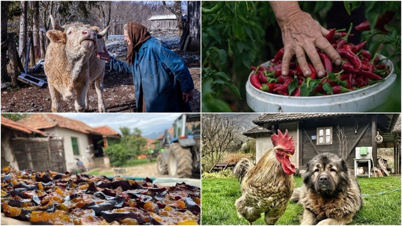 RuralFoto: Pet savjeta za ruralnu fotografiju koja priča priču