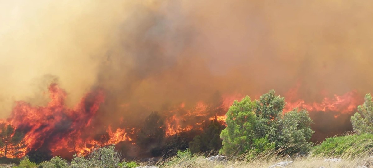 FOTO/VIDEO: POŽAR U GREBAŠTICI Vatra se više ne širi, objekti nisu ugroženi
