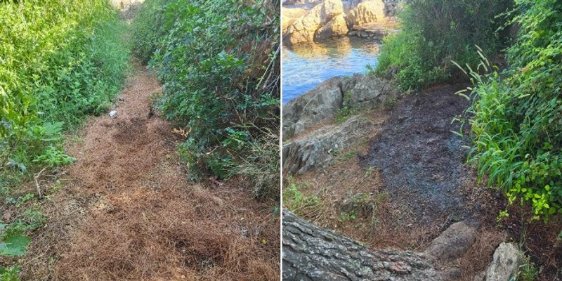 PARK ŠUMA TRAŽI ODUZIMANJE KONCESIJE NA BENAMA Septička jama i dalje pušta, a popravak nije izgledan zbog prostornih planova Grada Splita 