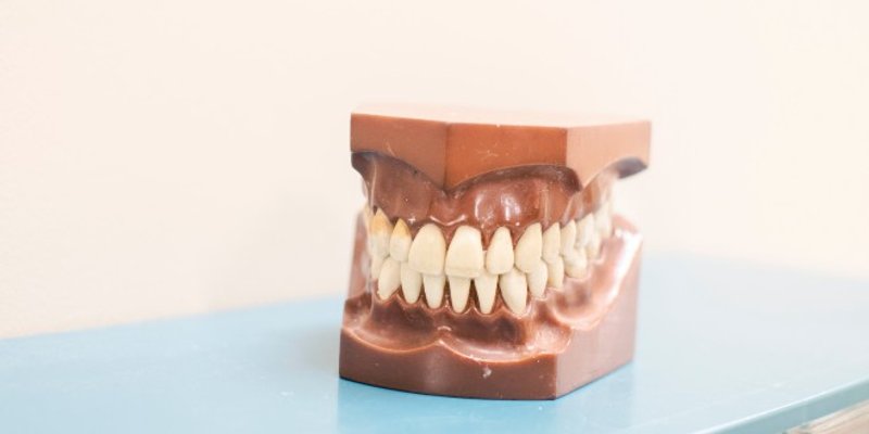 Rijeka dobiva prvi studij dentalne tehnike u Hrvatskoj