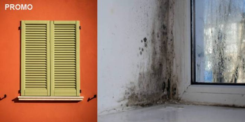 Prozračimo Hrvatsku - za život bez vlage i plijesni