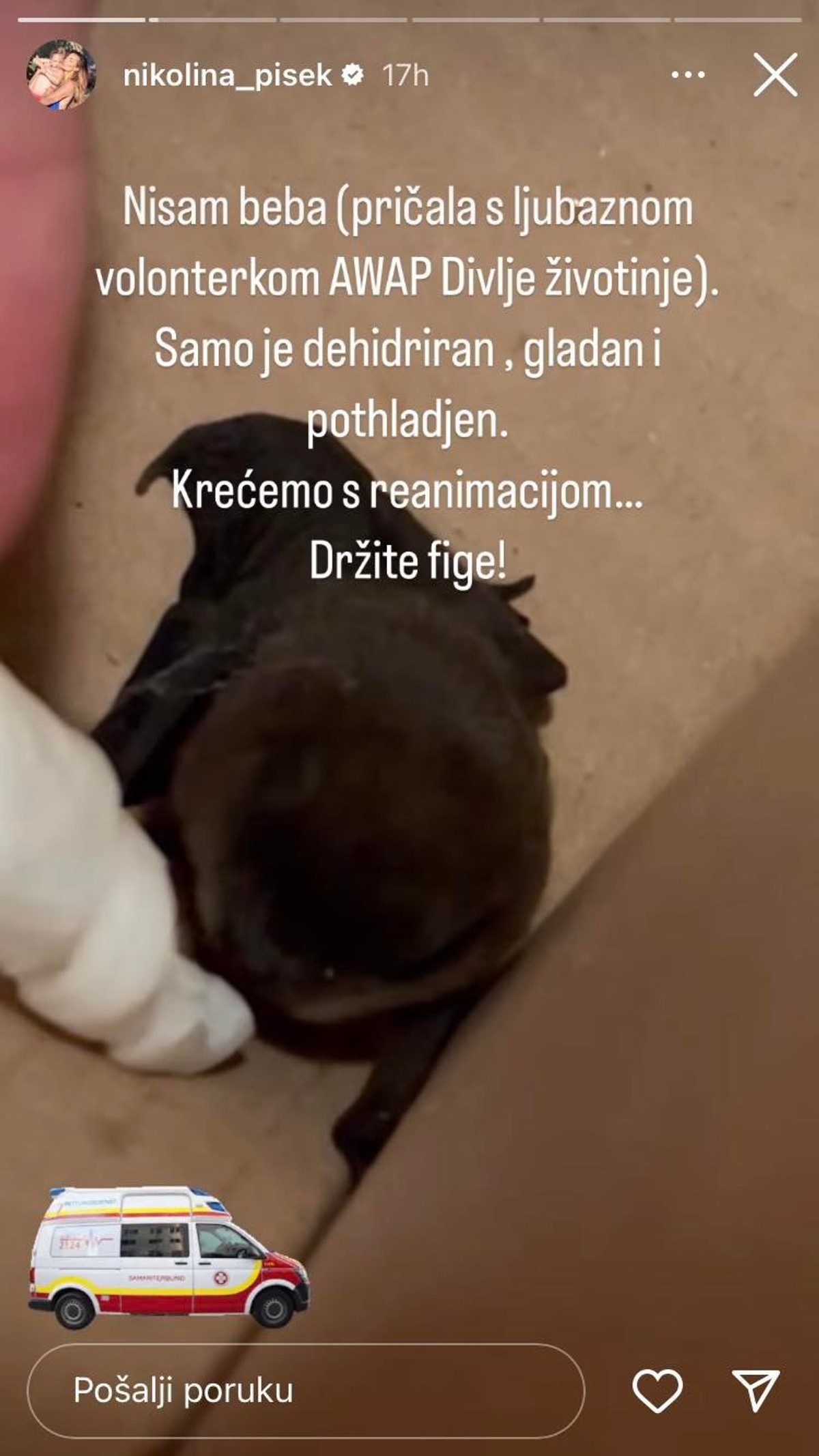 Nikolina Ristović spasila ozlijeđenog šišmiša, pogledajte što je napravila