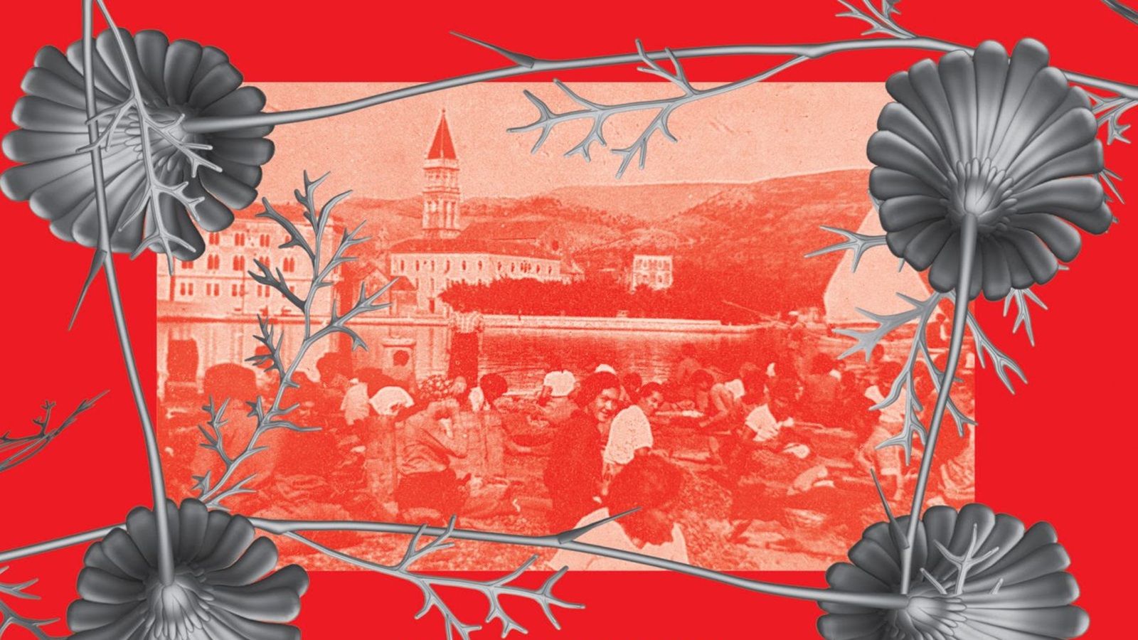 Putevima buhača #2: Trogir, grad žena