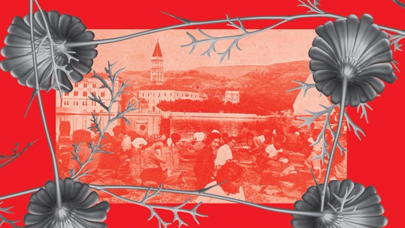 Putevima buhača #2: Trogir, grad žena
