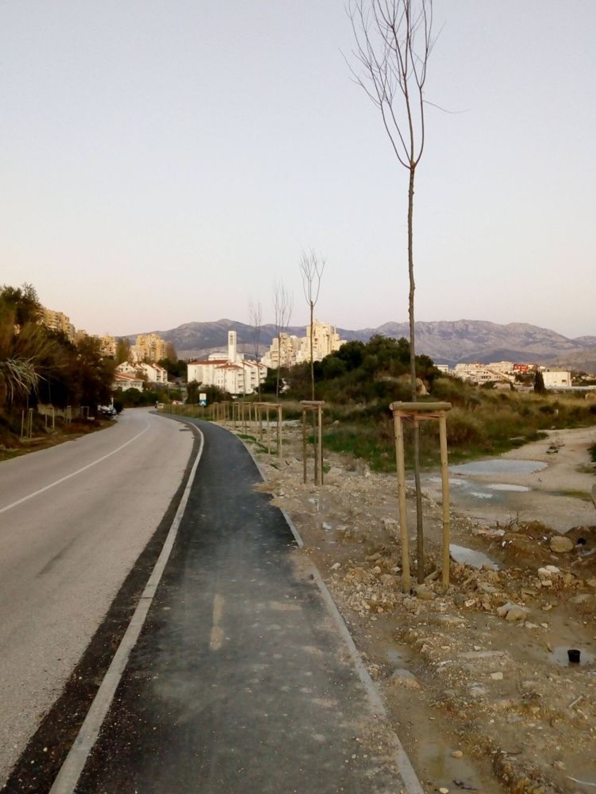 Urlić: Drvored u Bračkoj ulici je rezultat potpunog raspada sustava upravljanja gradom