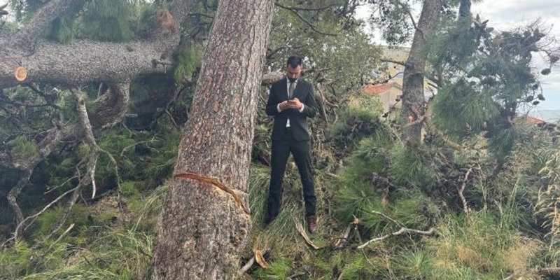 ŠOU NA GRIPAMA Ivošević stao pod stablo: 'Neka padne po meni'