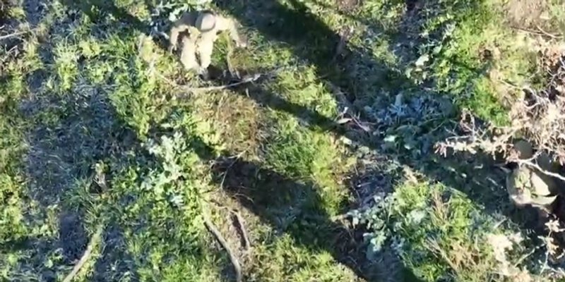 VIDEO Ukrajinski dronovi 'priveli' ruskog vojnika