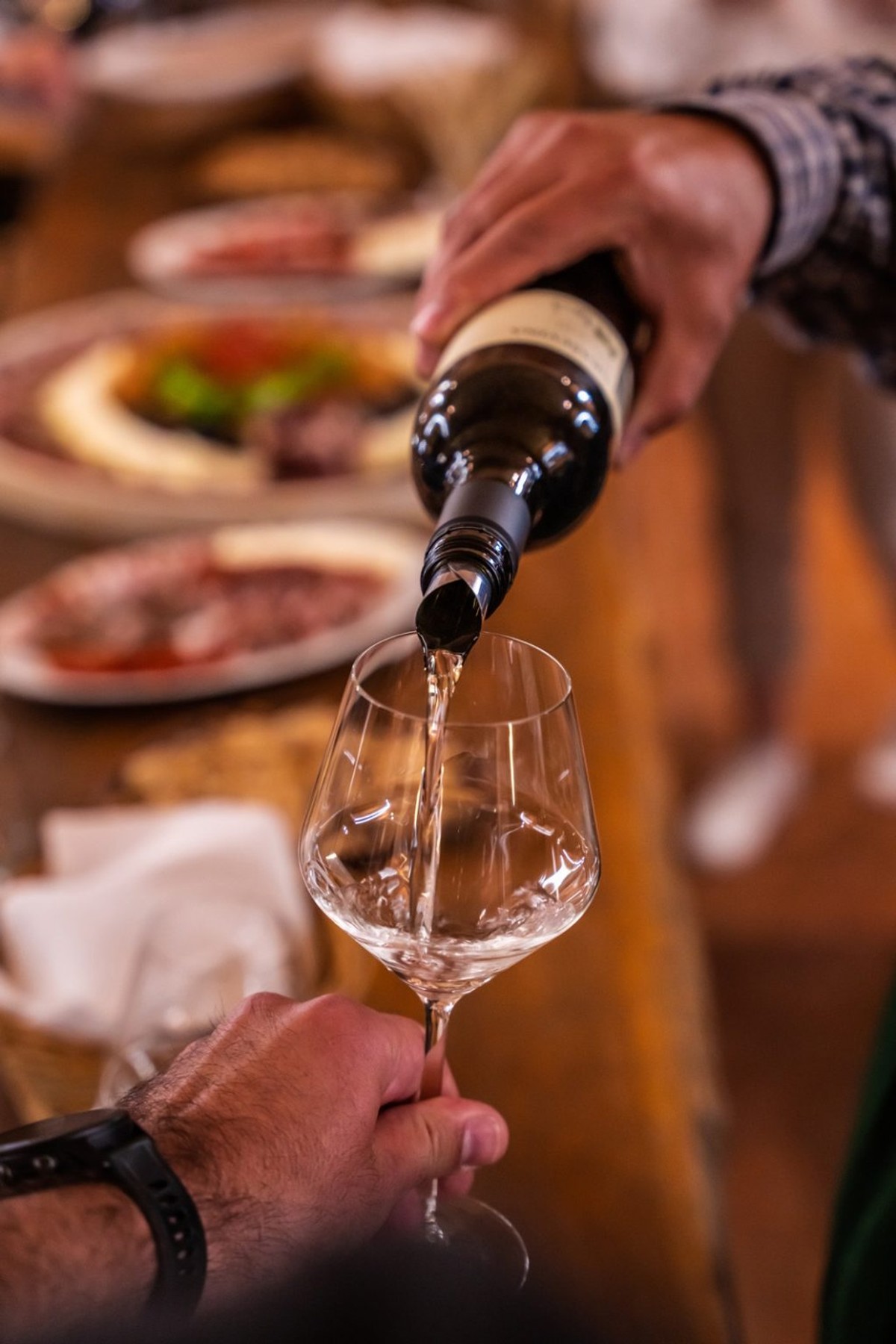 Vino opušta, a priroda smiruje - Doživljaj više čeka vas u Bjelovarsko-bilogorskoj županiji