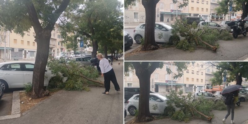 SPLIT Grane ponovno padale po automobilima