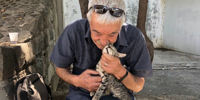 DIRLJIVA PRIČA IZ SPLITA Mladen godinama brine o čoporu mačaka iz Marmontove