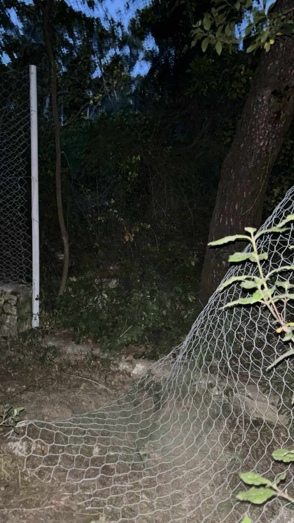 VIDEO Žena zapela u šikari na Marjanu, izvlačili je vatrogasci