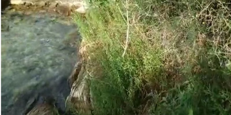 VIDEO: UŽAS NA BENAMA  Fekalije se izlijevaju u more