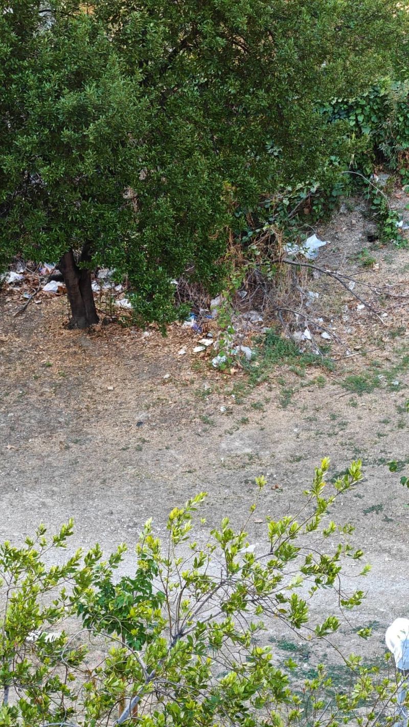 FOTO UBOD Ružna scena sa Spinuta: 'Srbi, masoni ili ipak mi?'