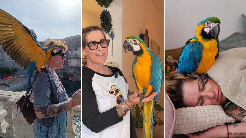 VIDEO Šarena Bella iz Vinišća: Papiga koja slobodno leti i svima krade pažnju